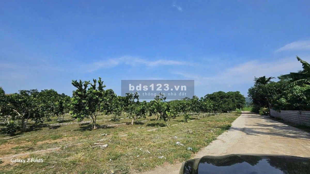 Bán Đất 177.3m2 có sẵn 50 m2 thổ cư giá 230 triệu tại Xã…