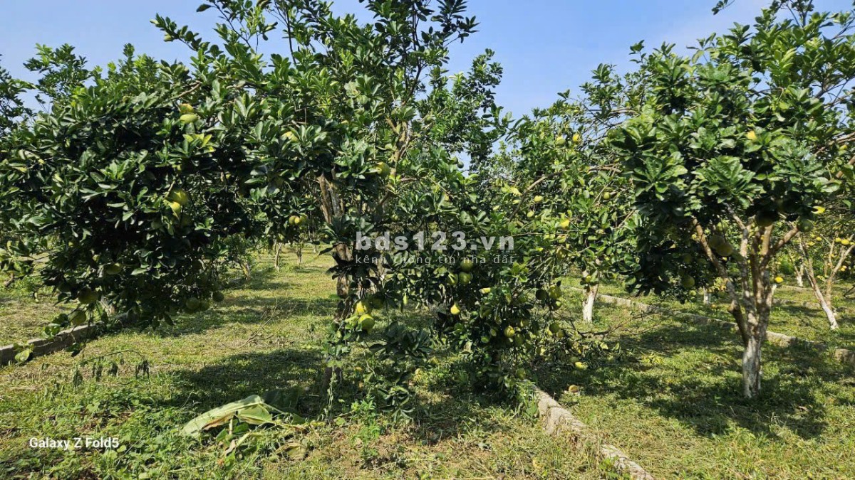 Bán Đất 177.3m2 có sẵn 50 m2 thổ cư giá 230 triệu tại Xã…