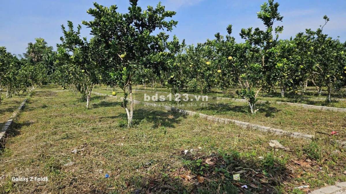 Bán Đất 177.3m2 có sẵn 50 m2 thổ cư giá 230 triệu tại Xã…