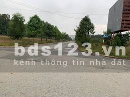 CHỦ GỬI 1000M2 ĐẤT TC CÓ SẴN VƯỜN MÍT ĐANG THU HOẠCH CẠNH…