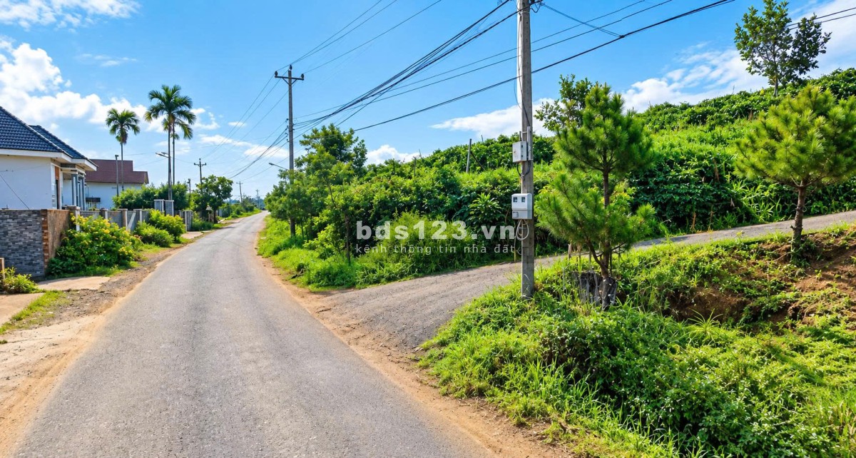 Bán nhanh đất mặt tiền Lạc Long Quân, Bảo Lâm - 161m2 giá…
