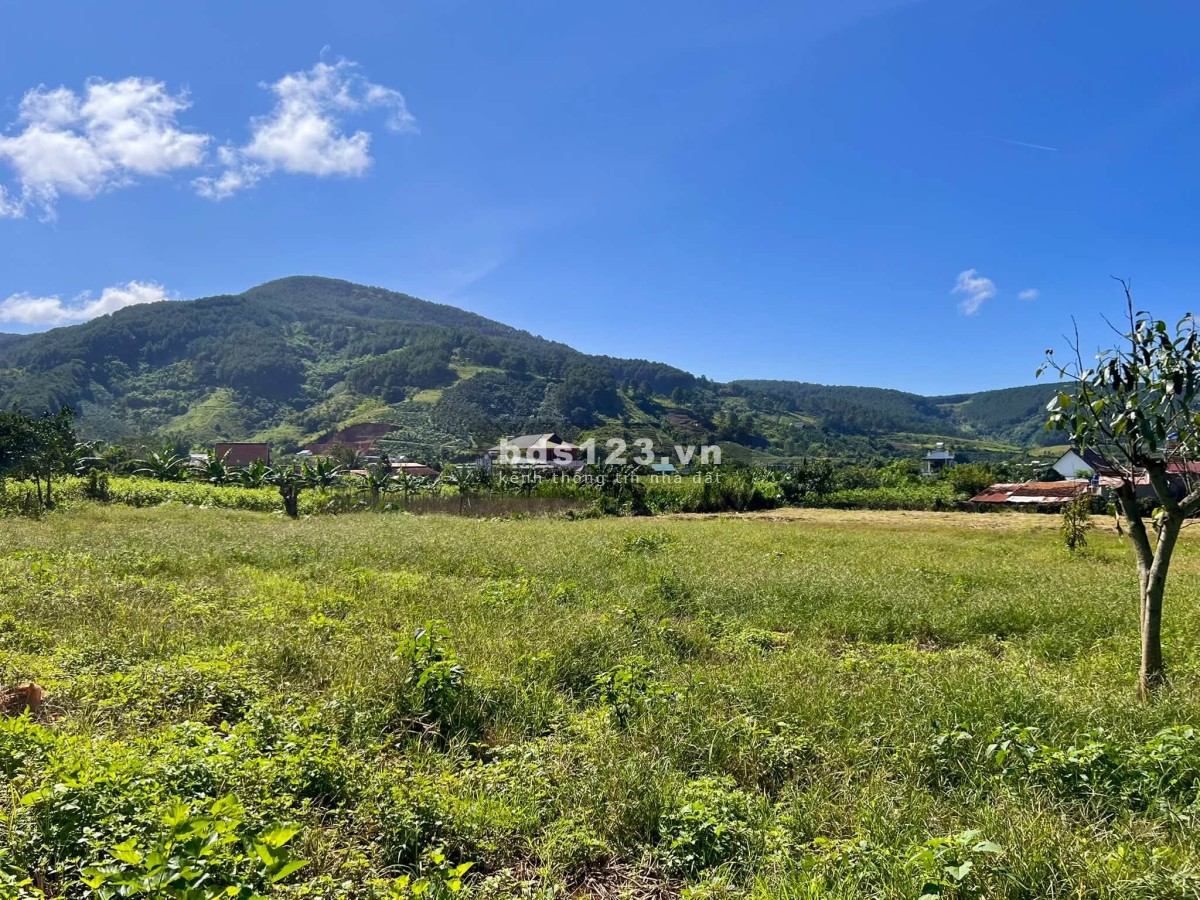 Cần Bán Đất Đông Thanh 397m², 200m² Đất Ở, Ô Tô Tận Đất, View Đồi Núi