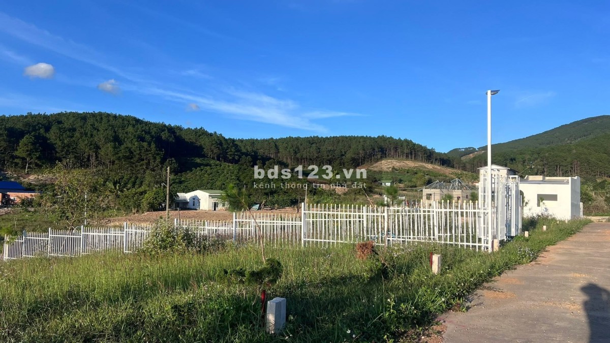 Cần Bán Đất 143m², 93m² Đất Ở, 2 Mặt Tiền, Thế Dương, View Thông