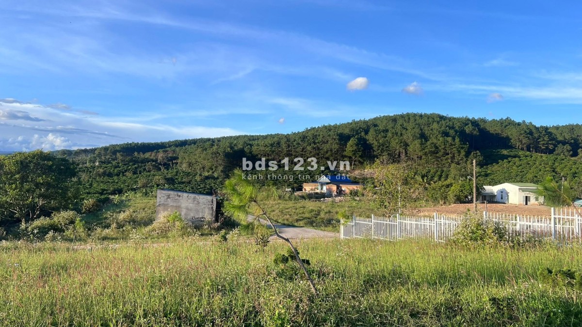 Cần Bán Đất 143m², 93m² Đất Ở, 2 Mặt Tiền, Thế Dương, View Thông