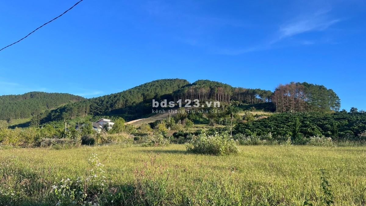 Cần Bán Đất 143m², 93m² Đất Ở, 2 Mặt Tiền, Thế Dương, View Thông