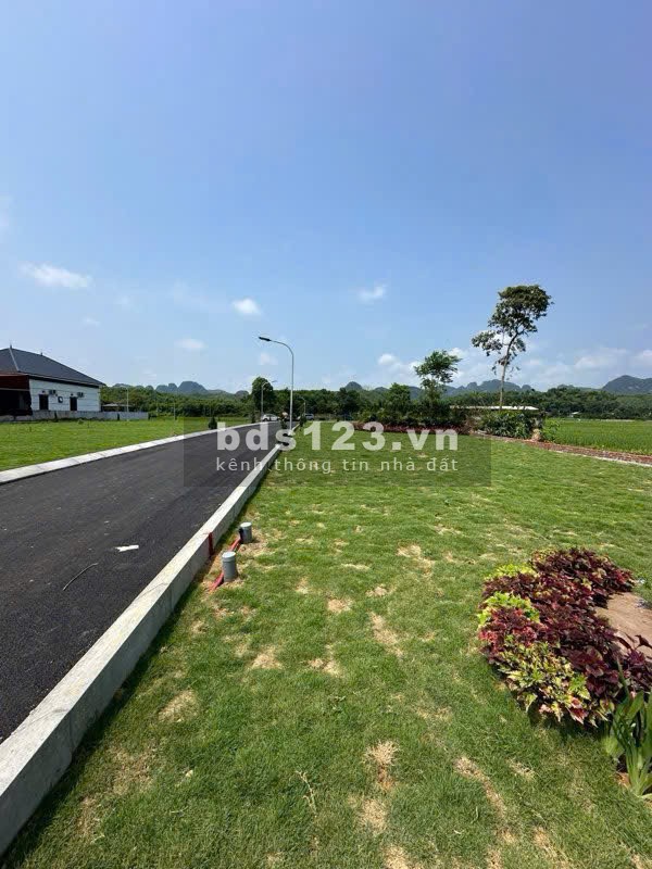 TT BA HÀNG ĐỒI - 5XX (x Tiểu Học) - SỞ HỮU 2 MẶT TIỀN - DÀI…