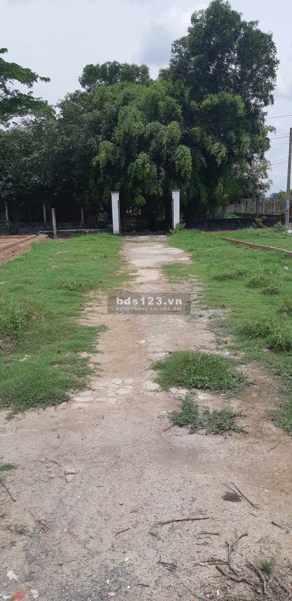 Bán đất full thổ 143,7 m2 gần đường ĐT 824, Đức Hoà Đông, Long An.