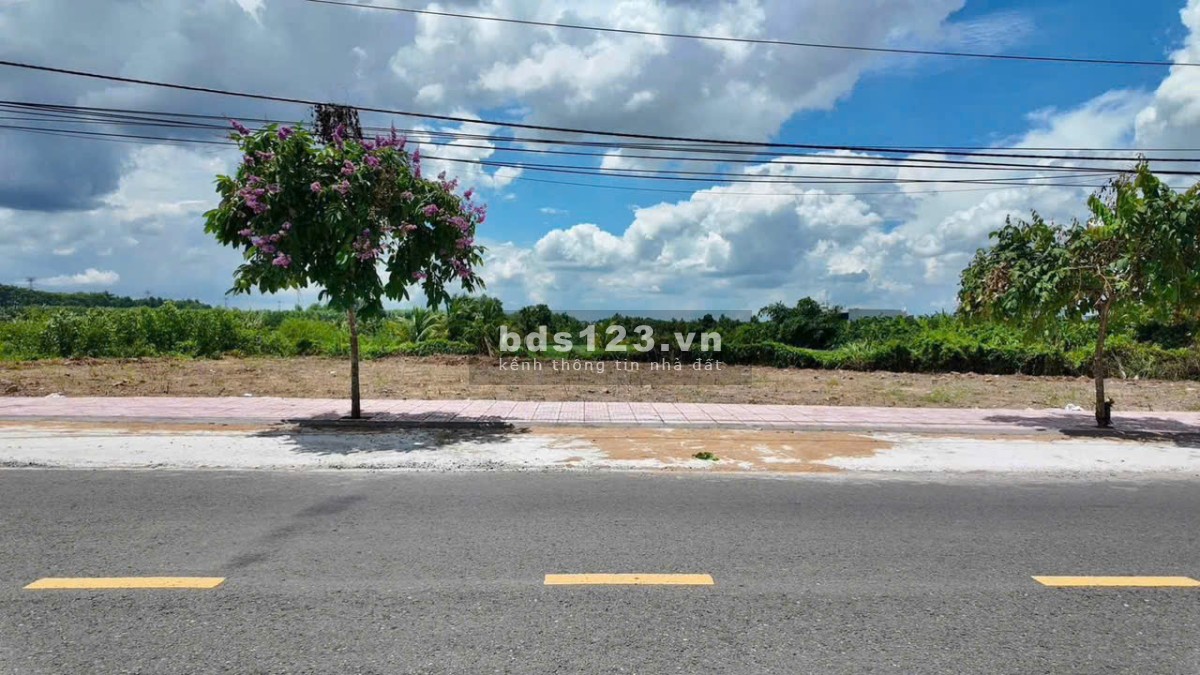 Đất Nền Mặt Tiền Đường Nhựa Lớn 8,8X20M Sổ Riêng, Full…