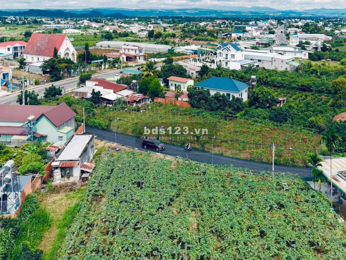 Cần Bán Đất Tân Hội 225m², 75m² Đất Xây Dựng, Cách DT724…