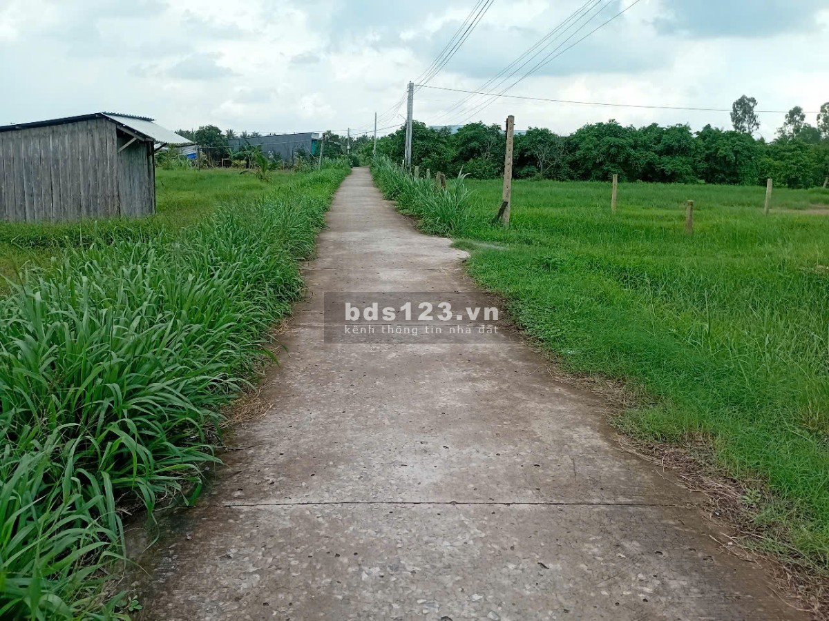 Chính chủ bán đất 563m² có 160m² thổ cư, đường ô tô tại…
