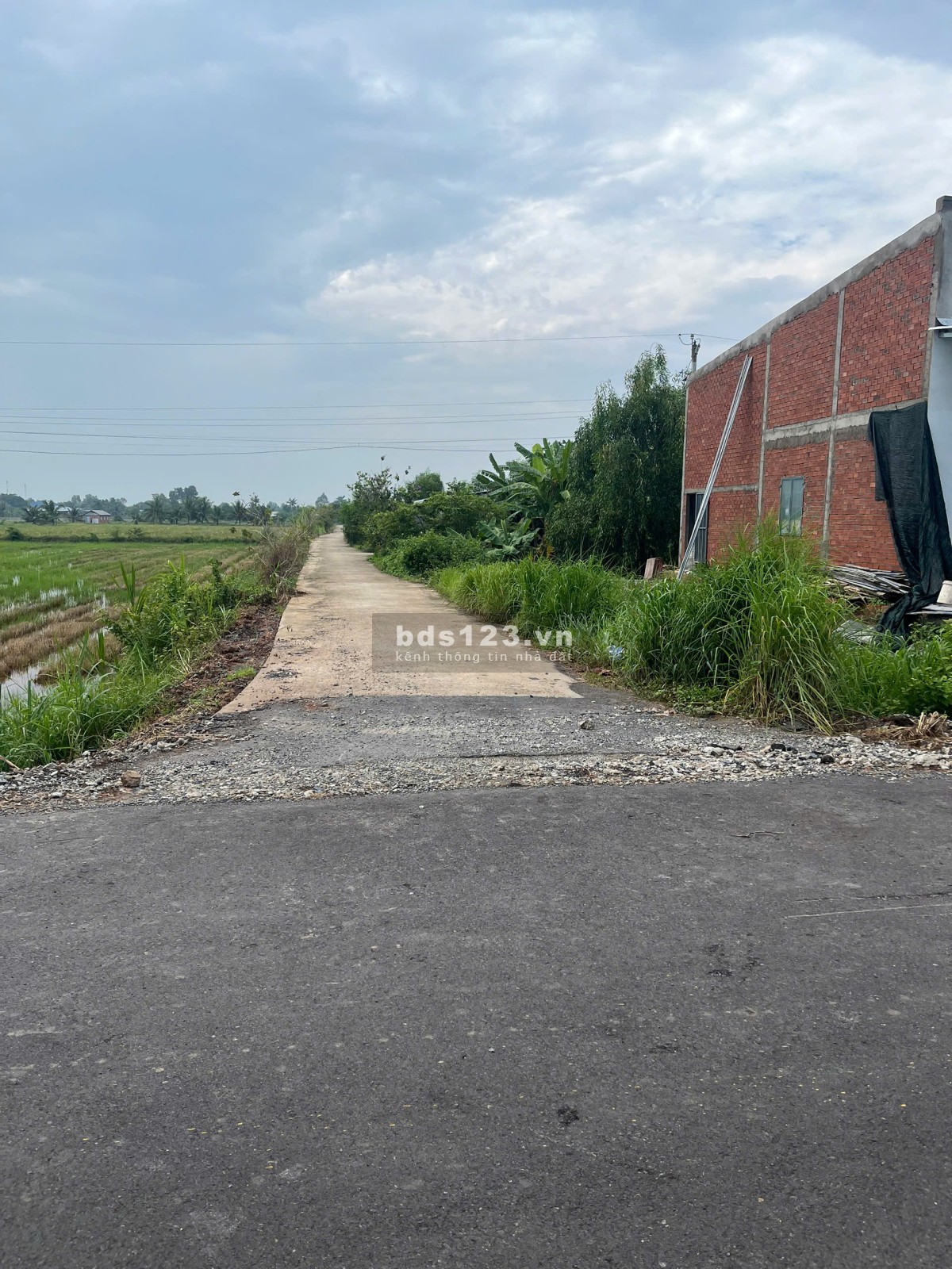 Chính chủ bán 241m² đất ở 100%- sổ riêng- ngang 5m- ô tô tới đất