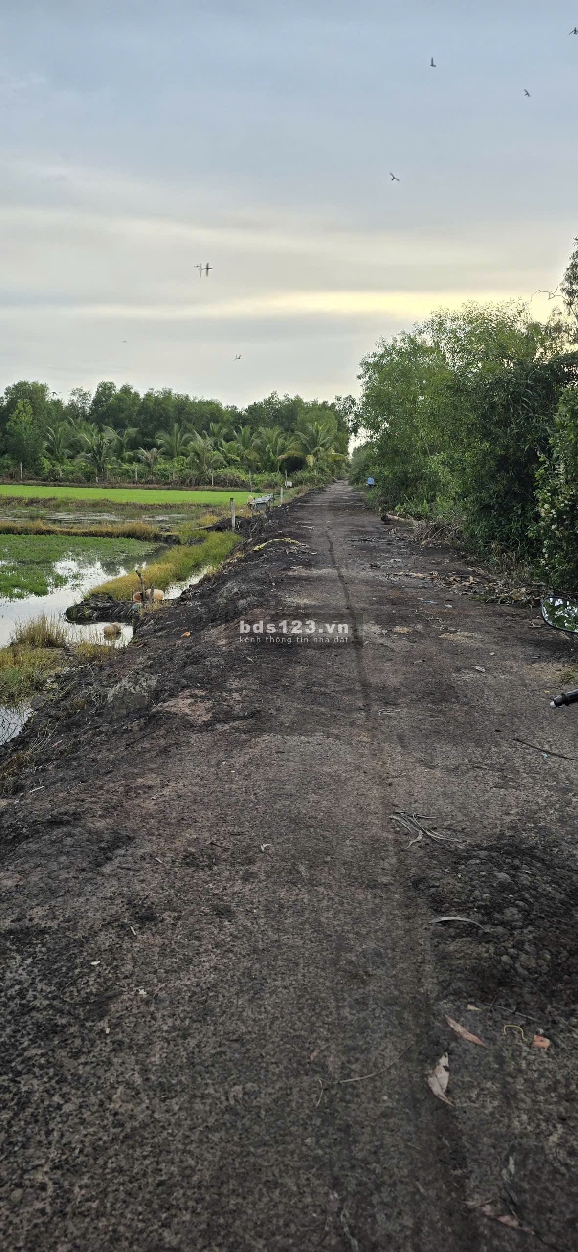 Bán đất ấp Tân Lập, xã Tân Lý Đông, huyện Châu Thành,…