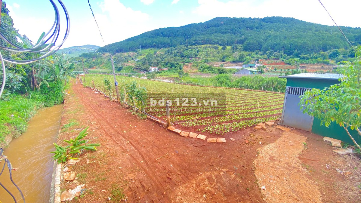 Bán 3 sào hẻm ql20, trung hiệp, hiệp an - lâm đồng