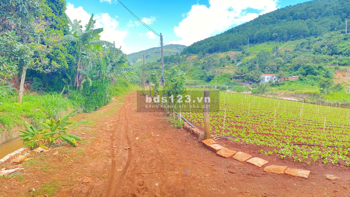 Bán 3 sào hẻm ql20, trung hiệp, hiệp an - lâm đồng