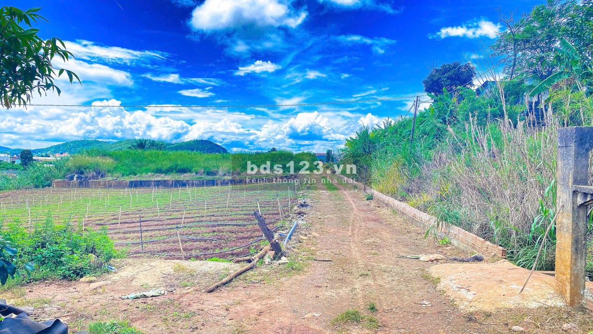 Bán 3 sào hẻm ql20, trung hiệp, hiệp an - lâm đồng