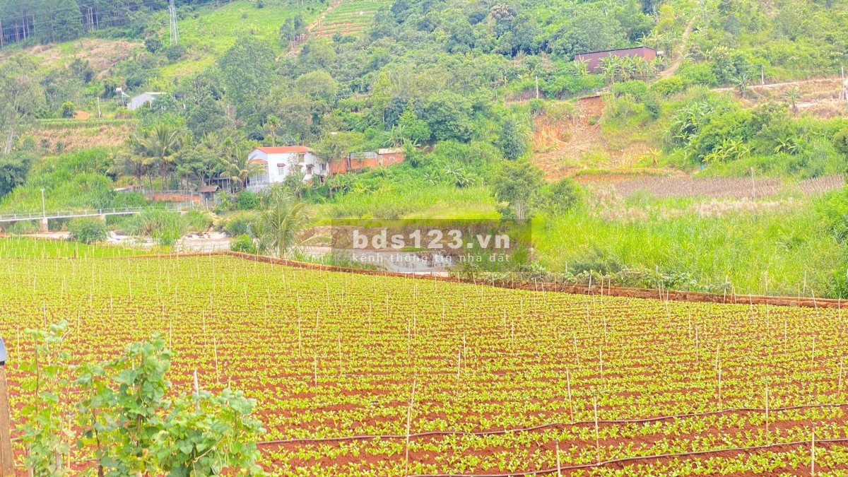 Bán 3 sào hẻm ql20, trung hiệp, hiệp an - lâm đồng