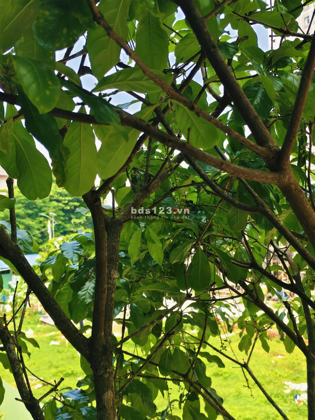 The Sholi, nhà phố 356m2 sử dụng,MT AN DƯƠNG VƯƠNG, PHƯỜNG AN…