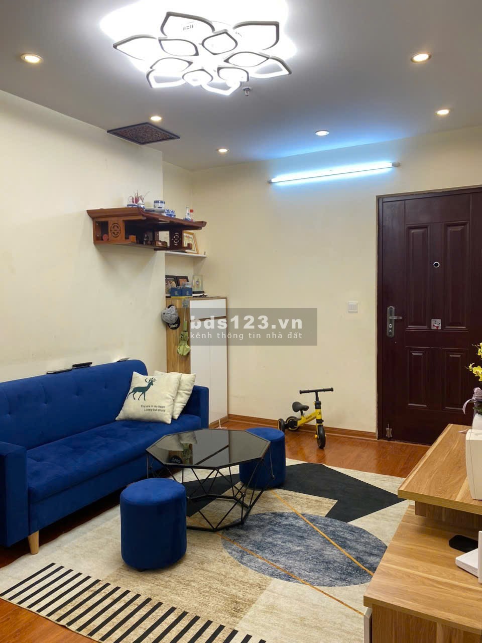 Cho thuê căn hộ chung cư cát tường eco bắc ninh