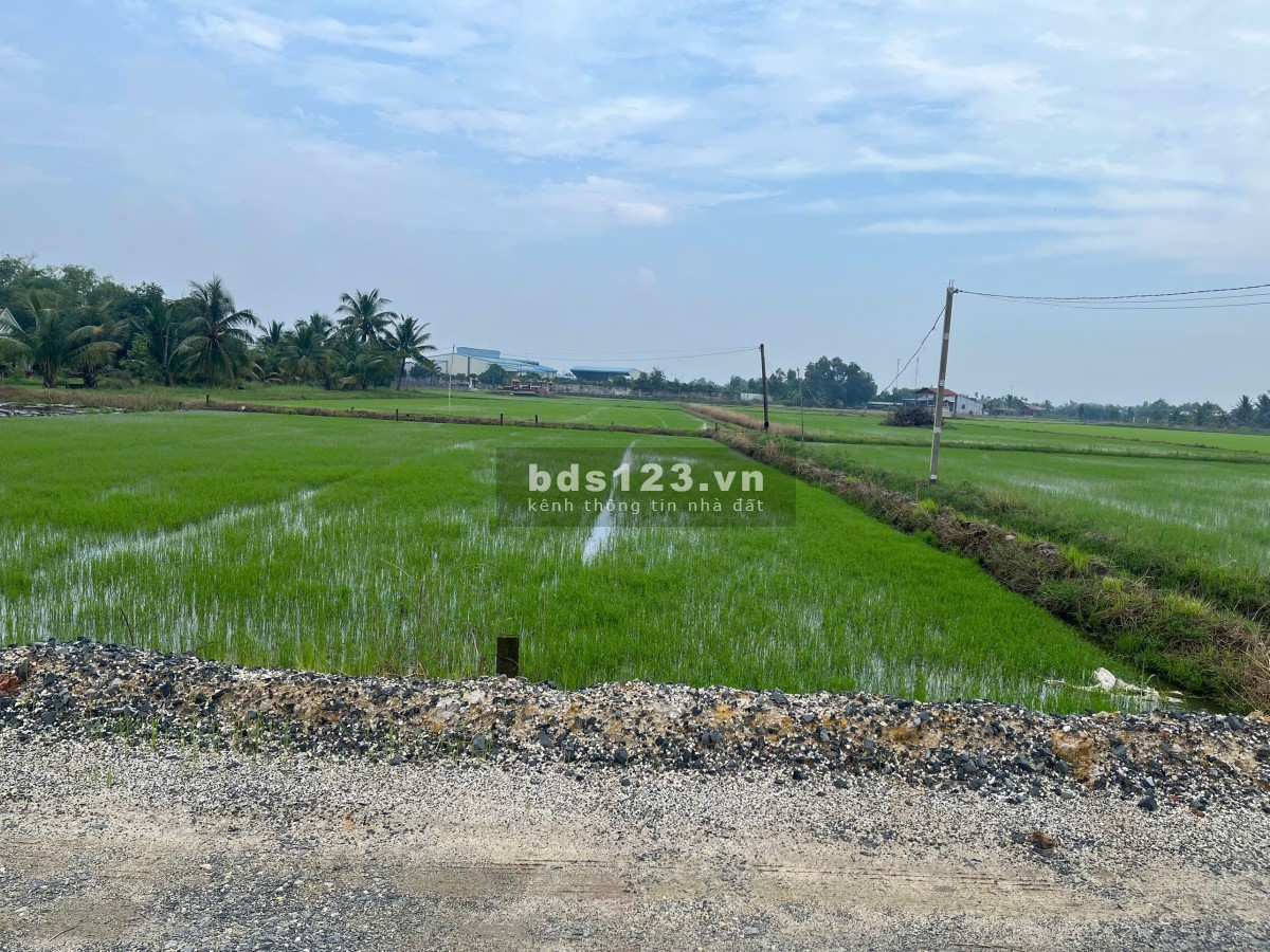BÁN ĐẤT FULL THỔ CƯ - ĐỨC HUỆ, LONG AN - DT 5X45M