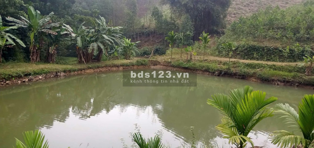  CẦN BÁN GẤP 3.300M² - MƯỜNG BI (PHÚ THỌ) - GẦN ĐƯỜNG NHỰA
