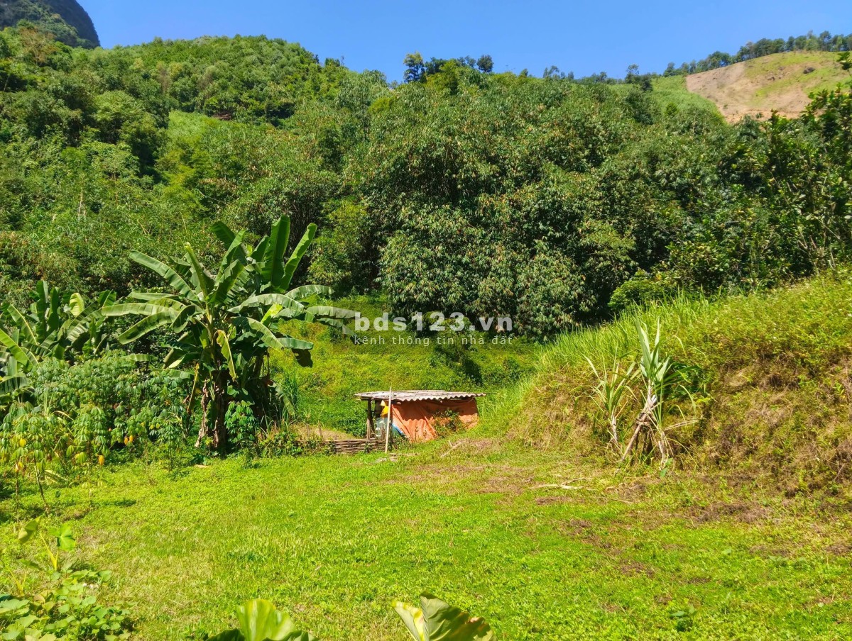  CẦN BÁN GẤP 3.300M² - MƯỜNG BI (PHÚ THỌ) - GẦN ĐƯỜNG NHỰA