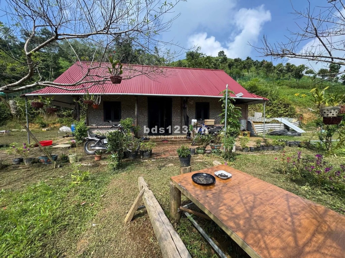  CẦN BÁN GẤP 3.300M² - MƯỜNG BI (PHÚ THỌ) - GẦN ĐƯỜNG NHỰA