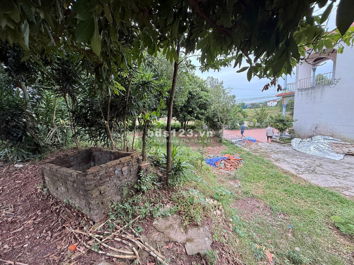  CẦN BÁN GẤP 3.300M² - MƯỜNG BI (PHÚ THỌ) - GẦN ĐƯỜNG NHỰA