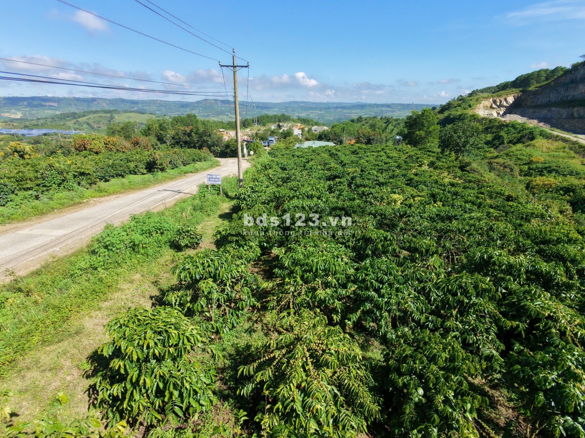 Đất Di Linh 333m mt bê tông 2ha giá 360tr/sào có nguồn thu