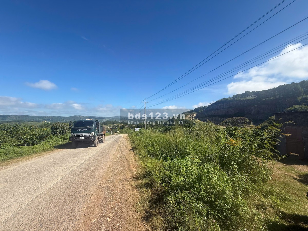 Đất Di Linh 333m mt bê tông 2ha giá 360tr/sào có nguồn thu
