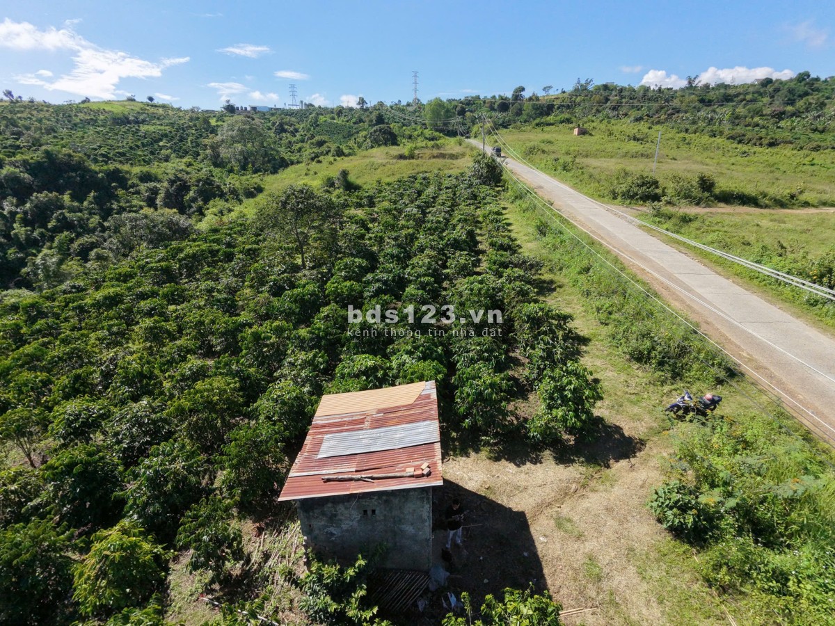 Đất Di Linh 333m mt bê tông 2ha giá 360tr/sào có nguồn thu