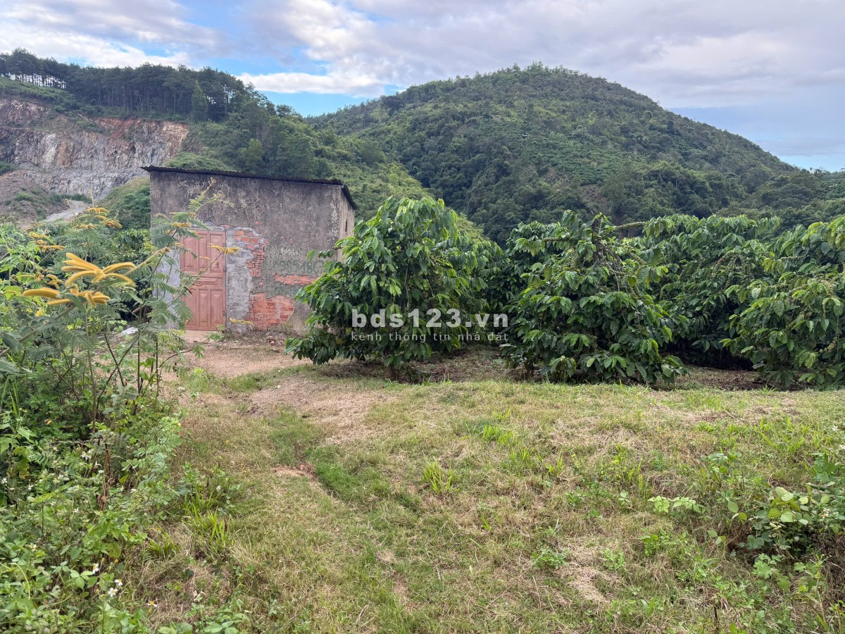 Đất Di Linh 333m mt bê tông 2ha giá 360tr/sào có nguồn thu