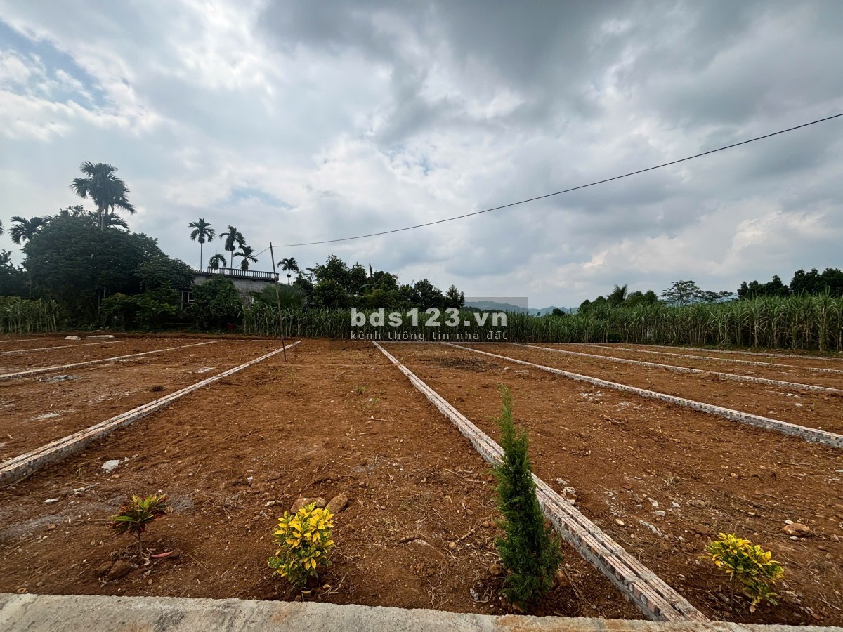 CHỈ 3 TRIỆU ĐẤT THỔ CƯ CAO PHONG - GẦN KCN DŨNG PHONG