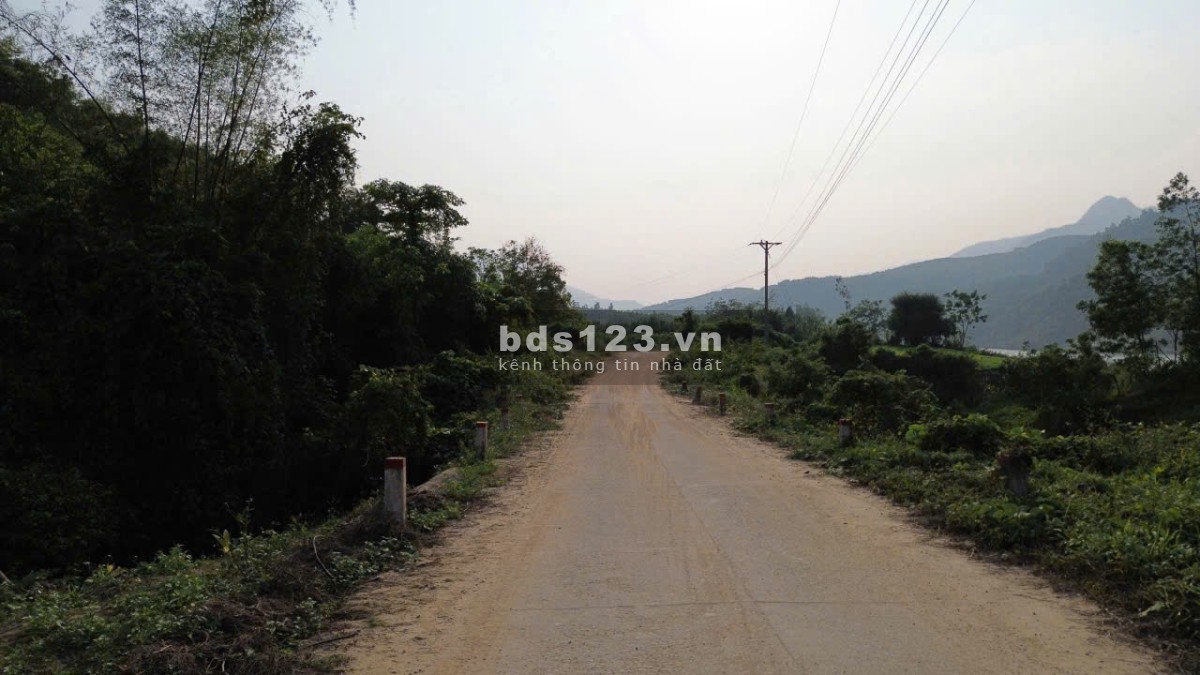 cc 034 3097143 Bán 7.5hecta đất rừng sản xuất view Sông bám…