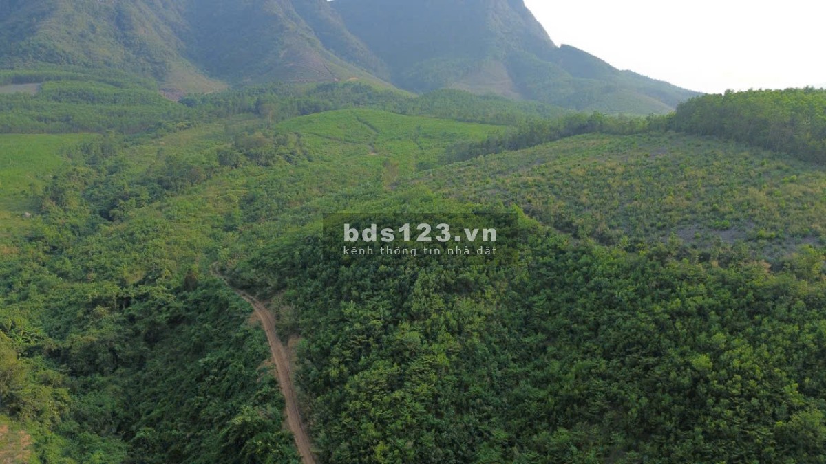 cc 034 3097143 Bán 7.5hecta đất rừng sản xuất view Sông bám…