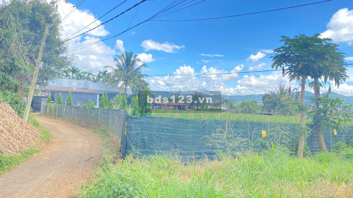 Bán 462m2 Đất Đẹp Hẻm Gần Ngã 3 Hoa Mặt Trời - Đức…