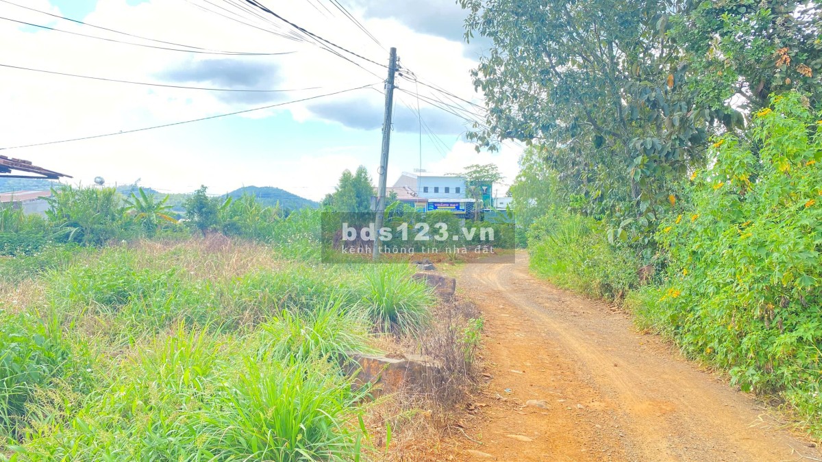 Bán 462m2 Đất Đẹp Hẻm Gần Ngã 3 Hoa Mặt Trời - Đức…