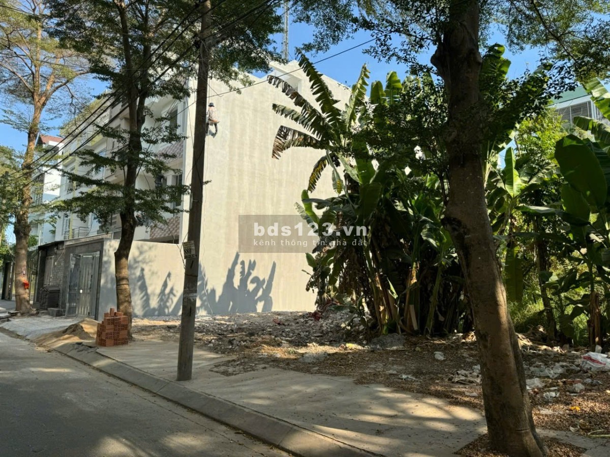 Đất nền PTH Q8 cũ, SHR sang tên ngay, full thổ cư