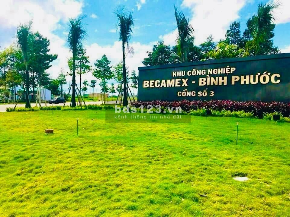 KẸT TIỀN BÁN GẤP 700M² ĐẤT THỔ CƯ, MT ĐƯỜNG NHỰA, THÔNG…
