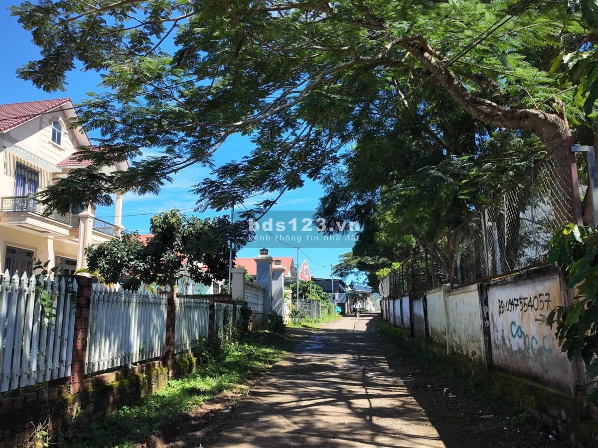 Cần Bán Đất Phường Cam Ly Đà Lạt 204m², Full Đất Xây Dựng