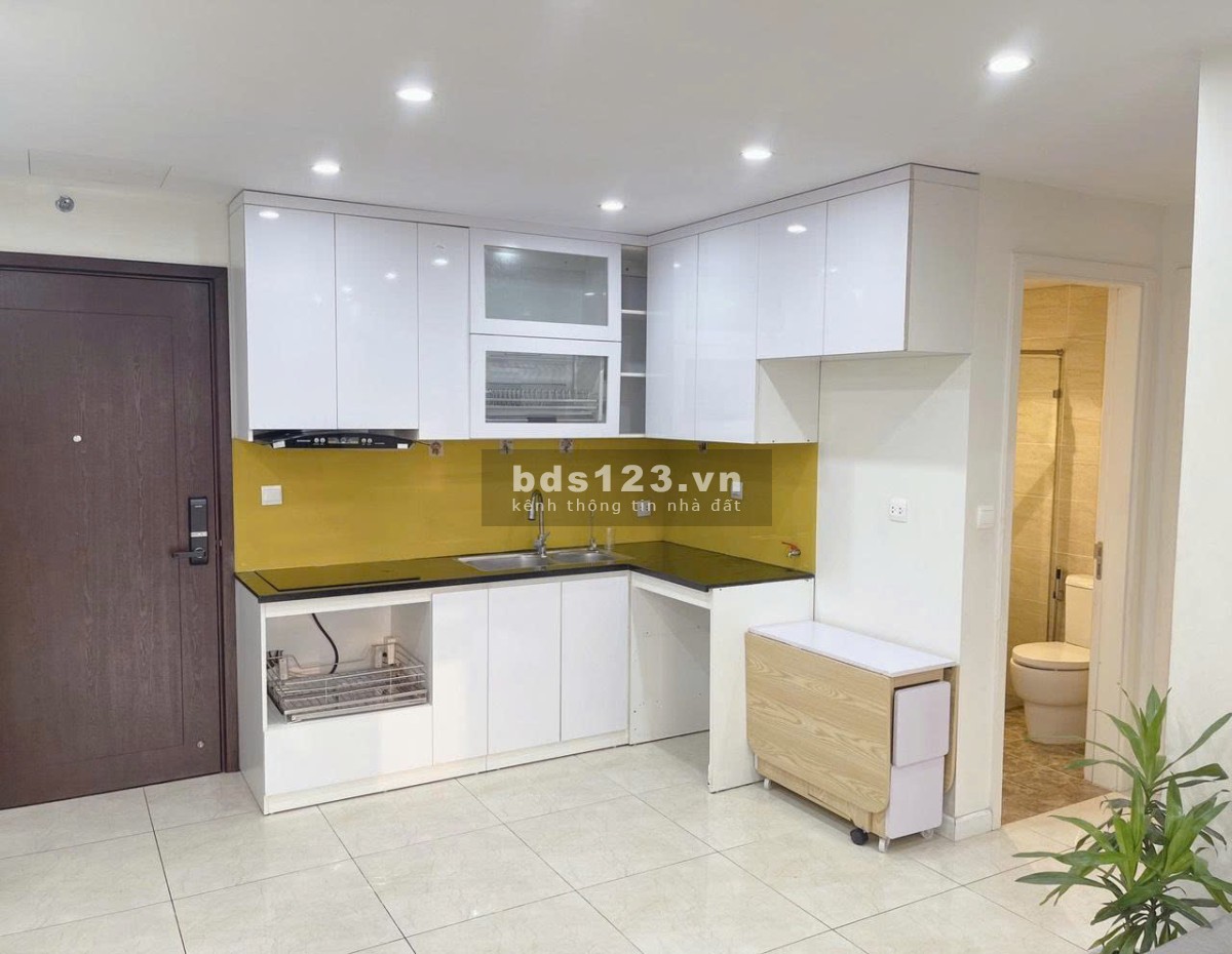 16,5tr thuê 1N+1 Vinhomes D'Capitale 52m² - sẵn chỗ làm việc